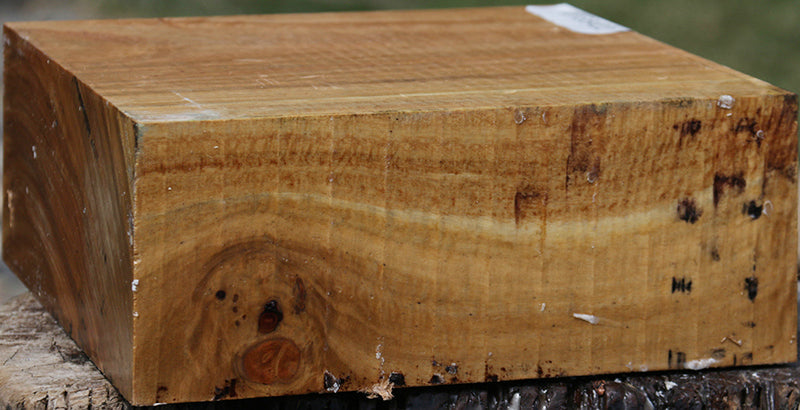 Extra Fancy Australian Eucalyptus Bowl Blank