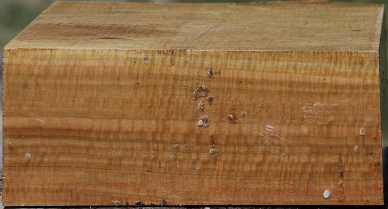 Extra Fancy Australian Eucalyptus Bowl Blank