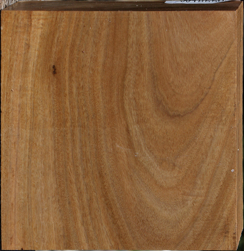 Australian Eucalyptus Bowl Blank