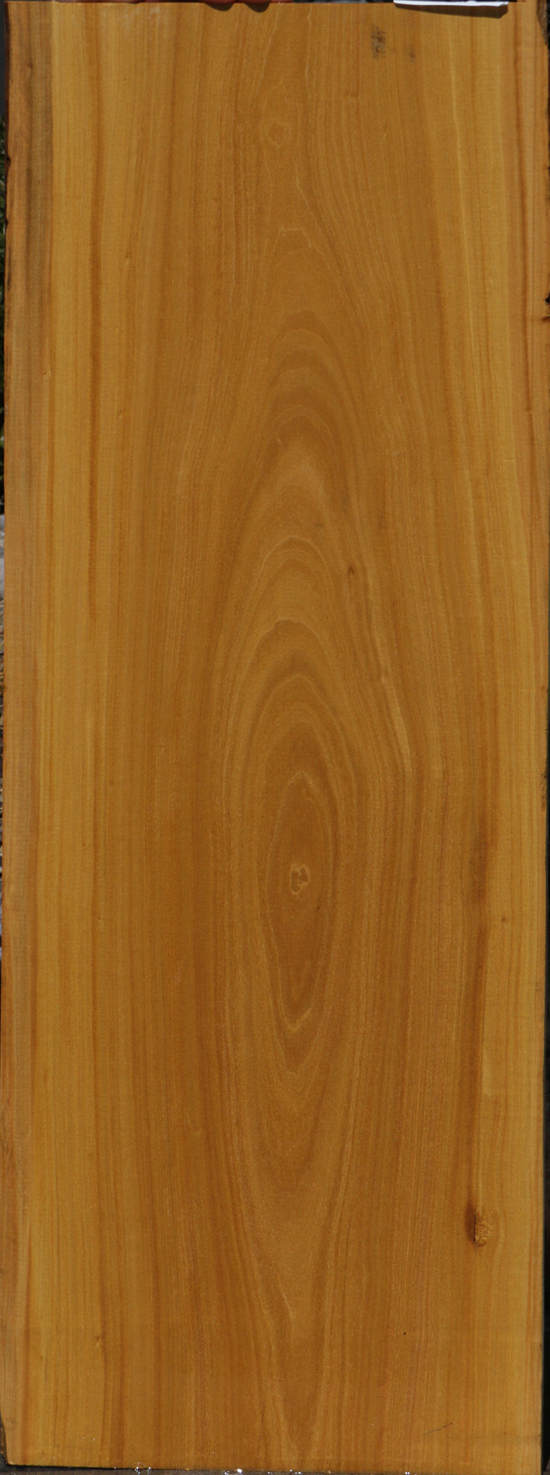 Ceylon Satinwood Lumber