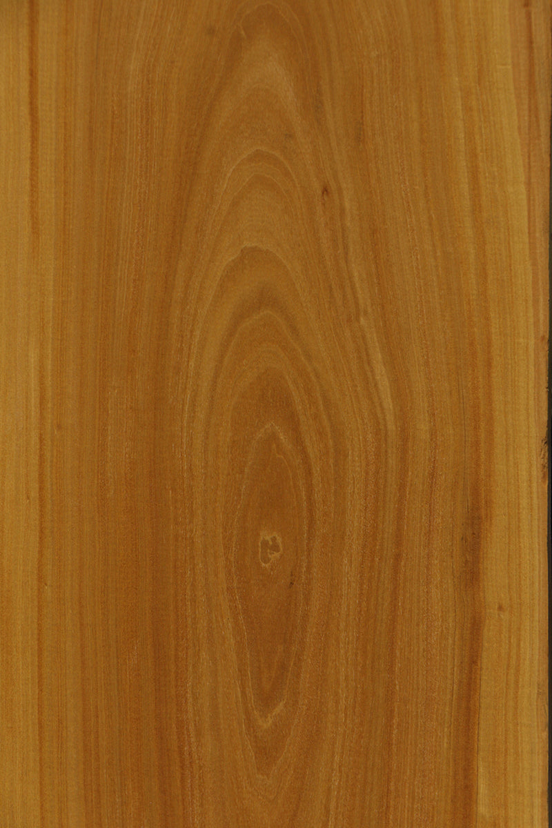 Ceylon Satinwood Lumber