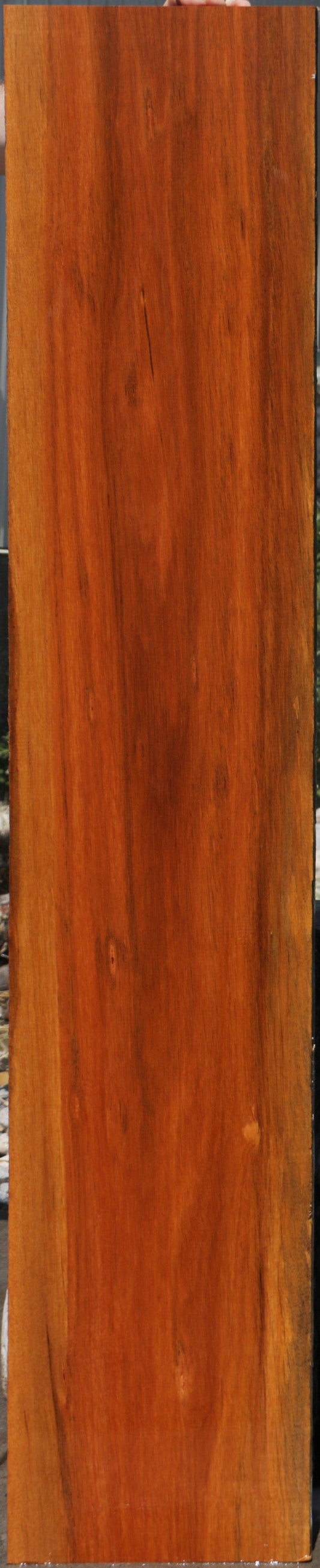 Brasiletta Lumber