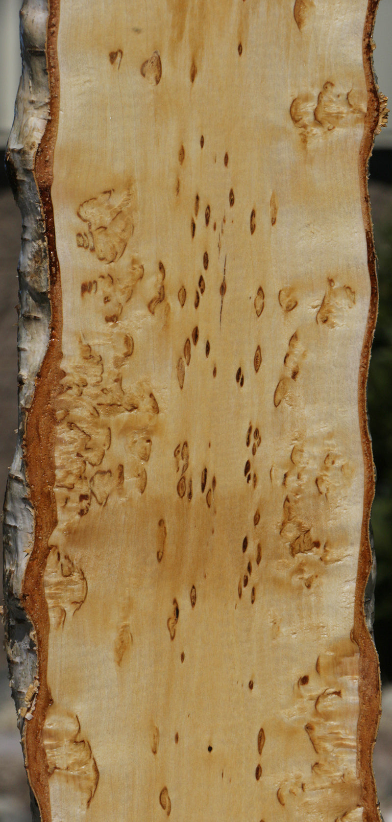 Extra Fancy Masur Birch Live Edge Lumber