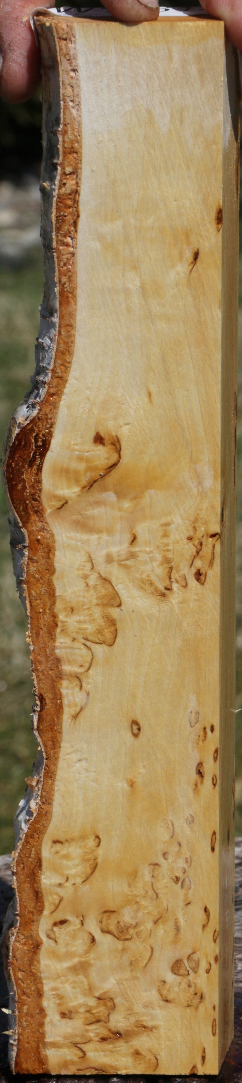 Extra Fancy Masur Birch Live Edge Lumber