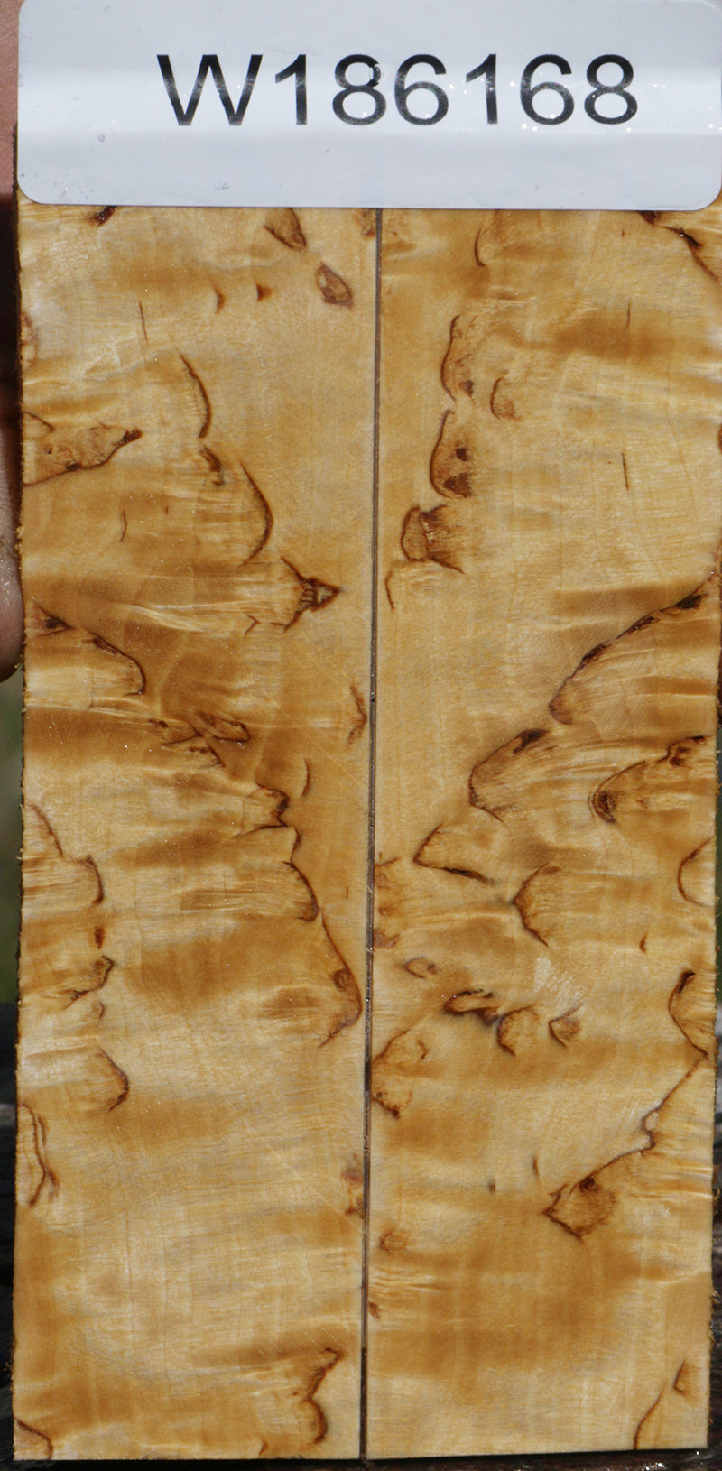 Masur Birch Bookmatched Knife Scales