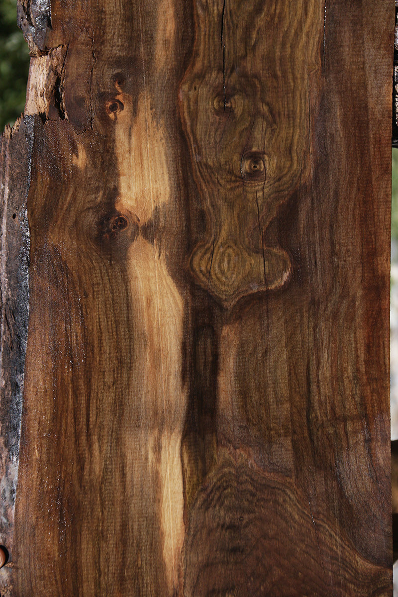 Rustic Claro Walnut Live Edge Lumber