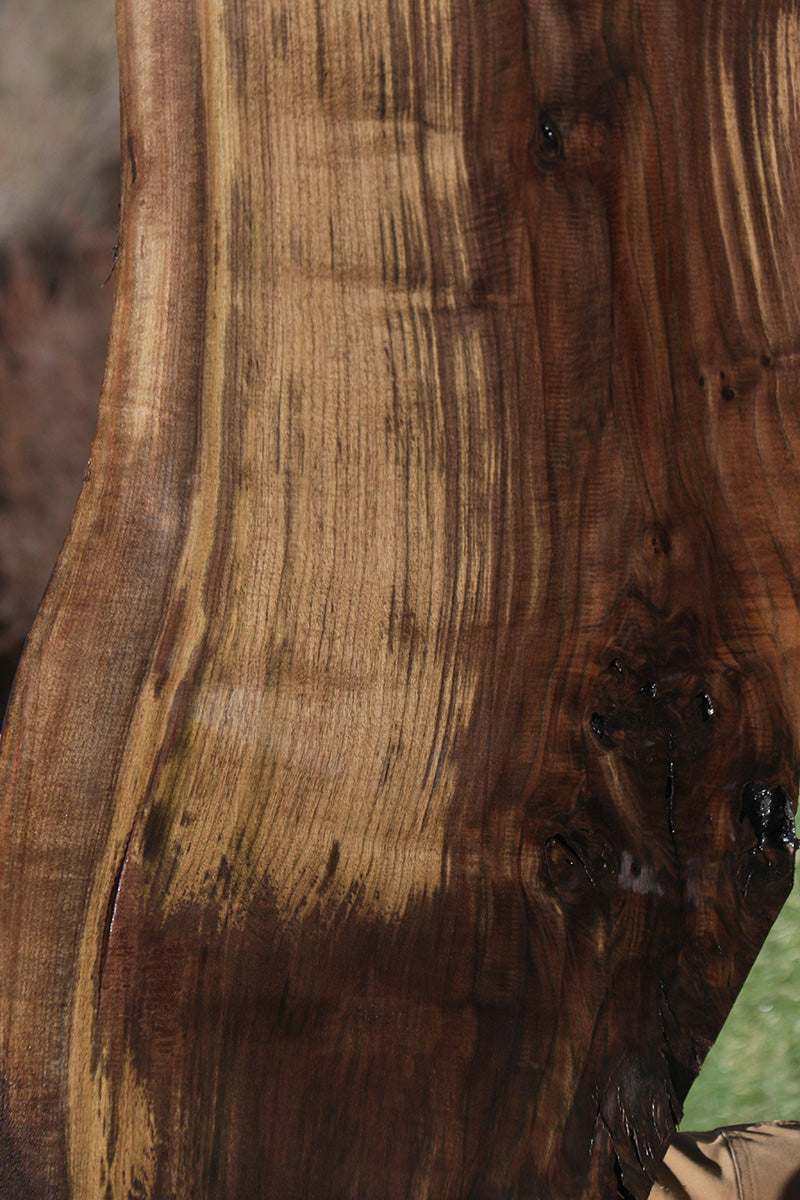 Extra Fancy Claro Walnut Live Edge Lumber