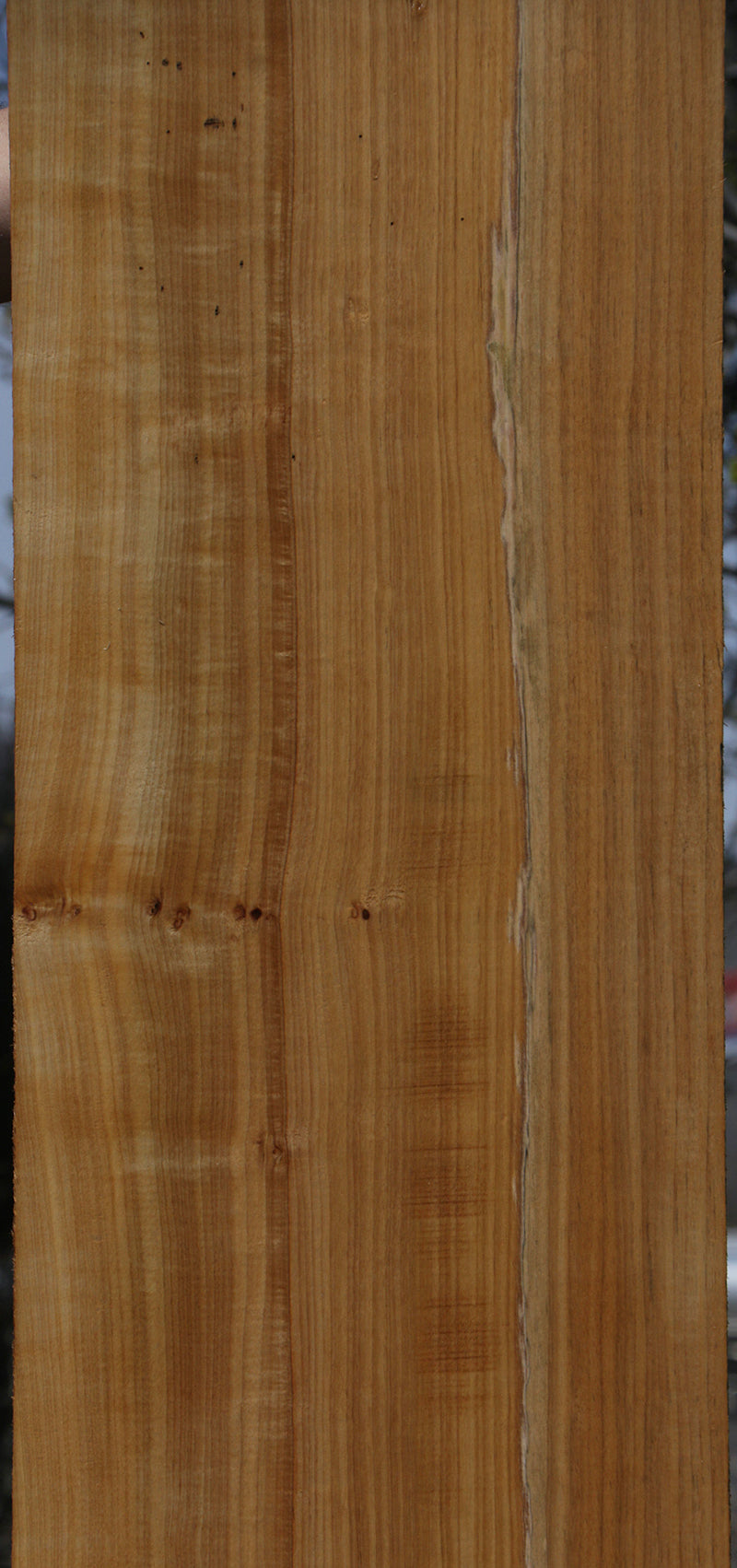 Extra Fancy Aniegre Lumber