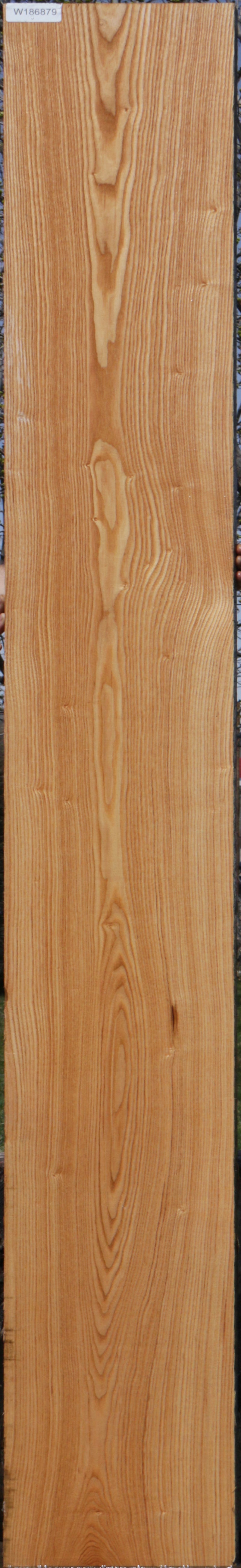 Honey Locust Slab LE2259-5B - 9/4 - 7.5' Irion Lumber Company