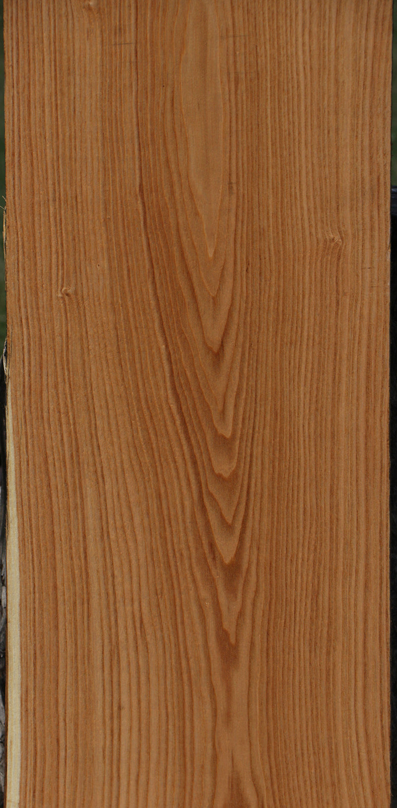 Honey Locust Lumber (Free Shipping Excluded)