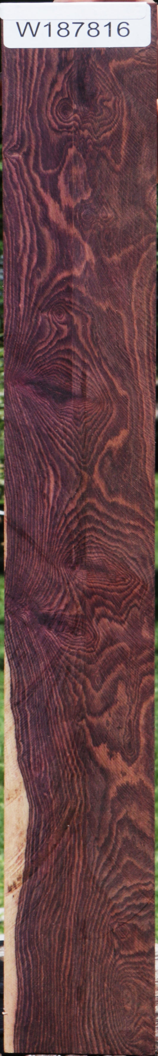 Camatillo Micro Lumber
