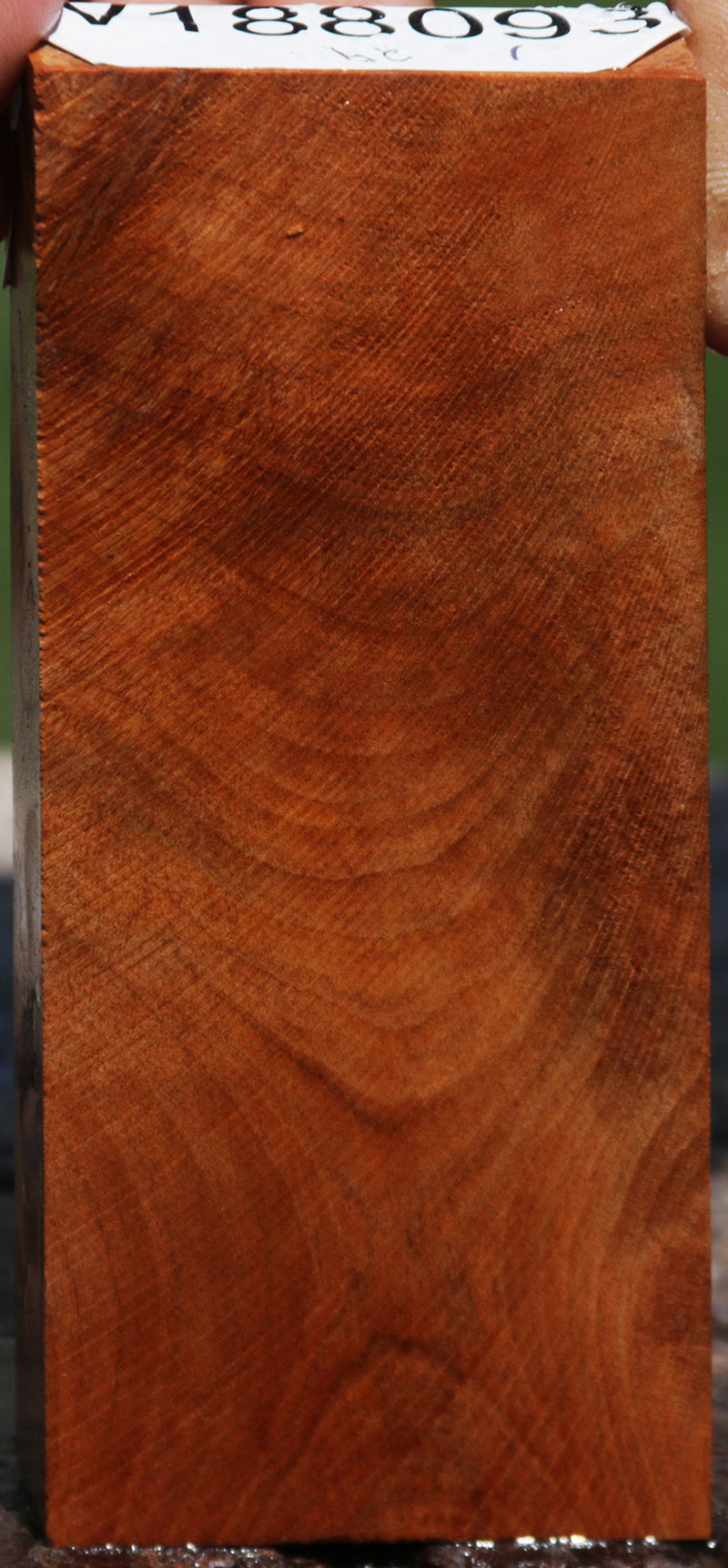 Thuya Burl Lumber
