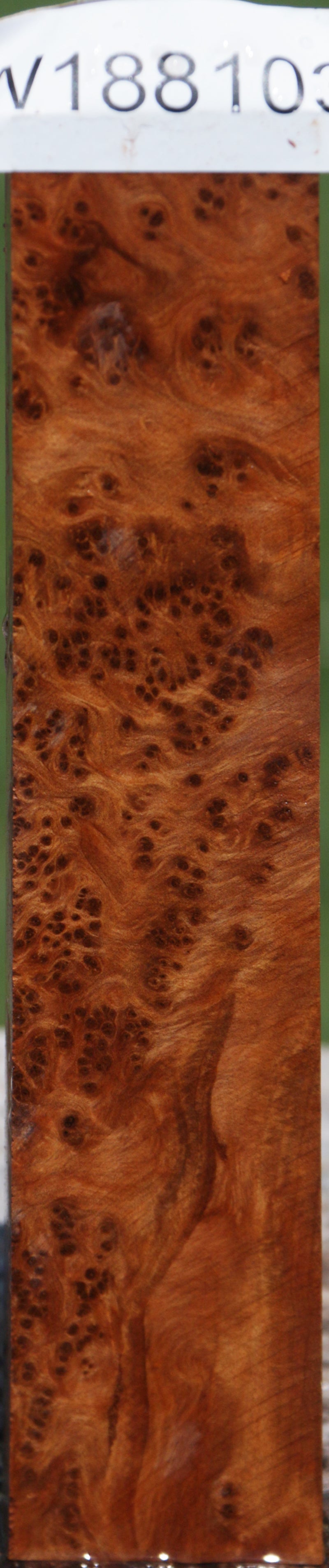 Exhibition Thuya Burl Lumber