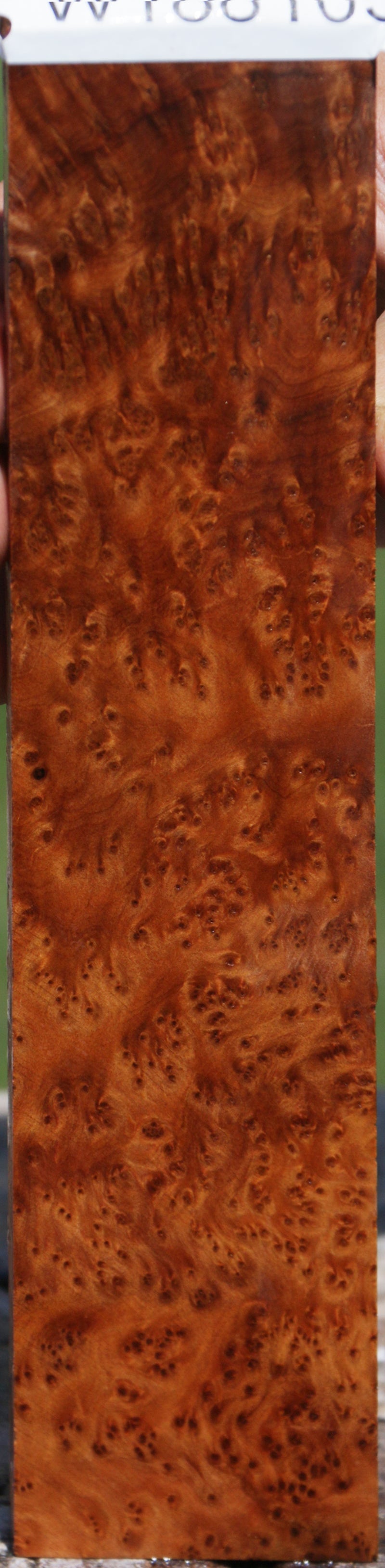 Thuya Burl Micro Lumber