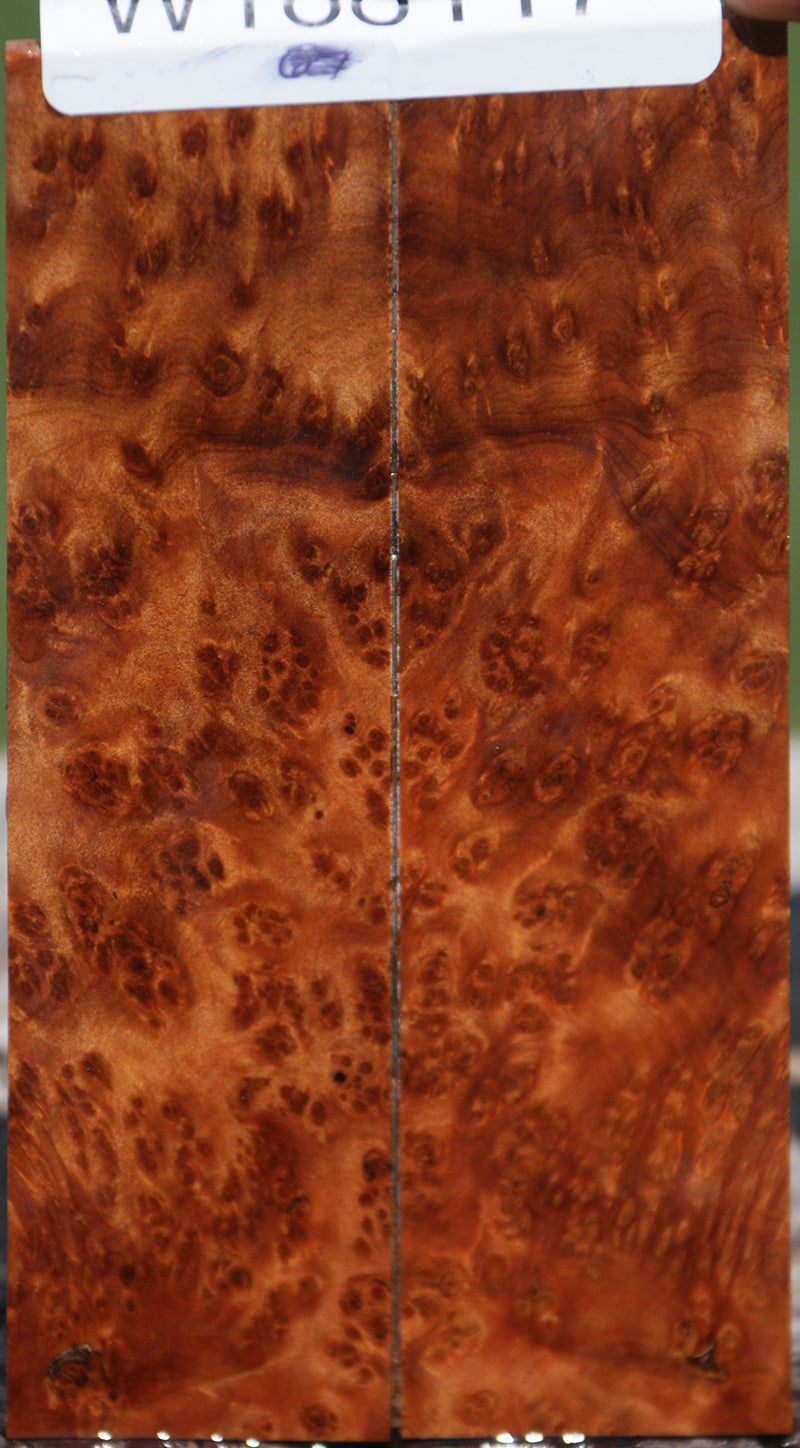 Exhibition Thuya Burl Knife Scales
