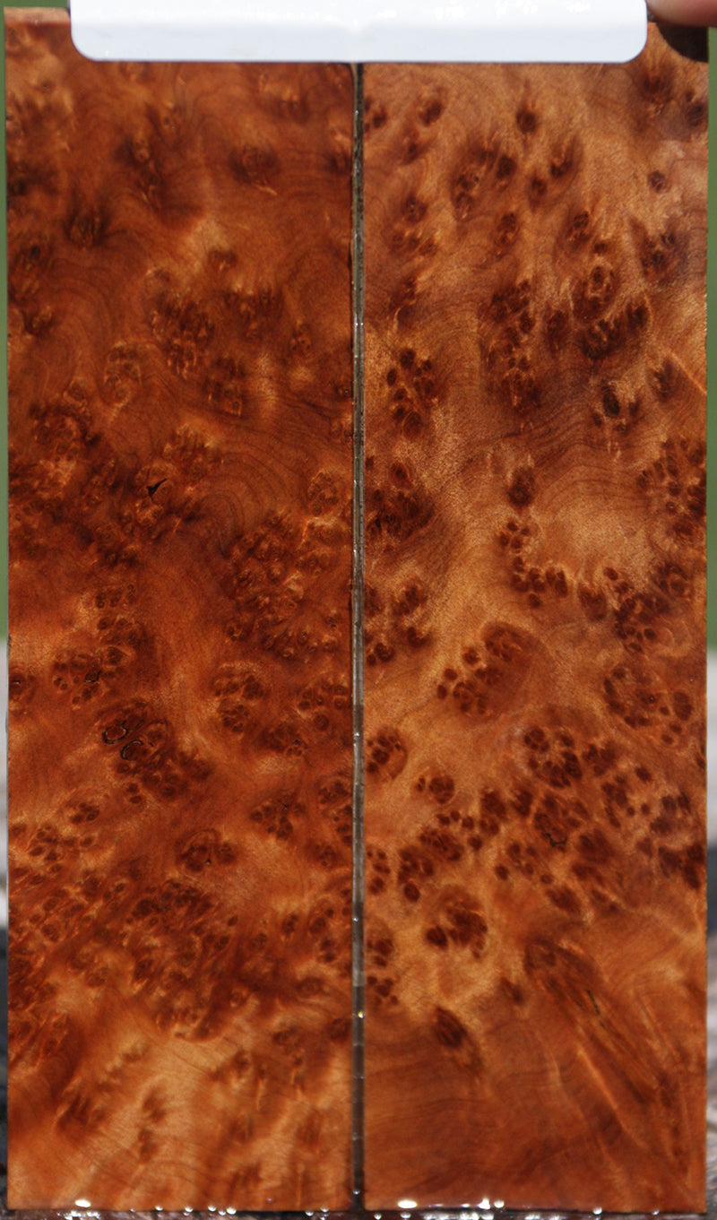 Exhibition Thuya Burl Knife Scales