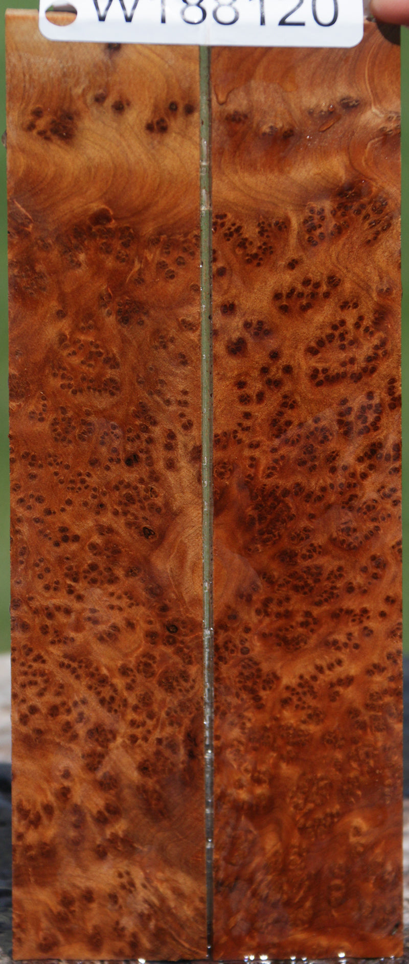 Exhibition Thuya Burl Knife Scales