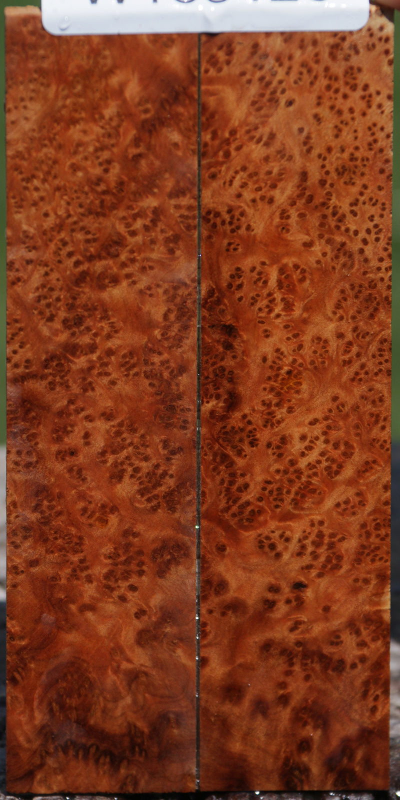 Exhibition Thuya Burl Knife Scales