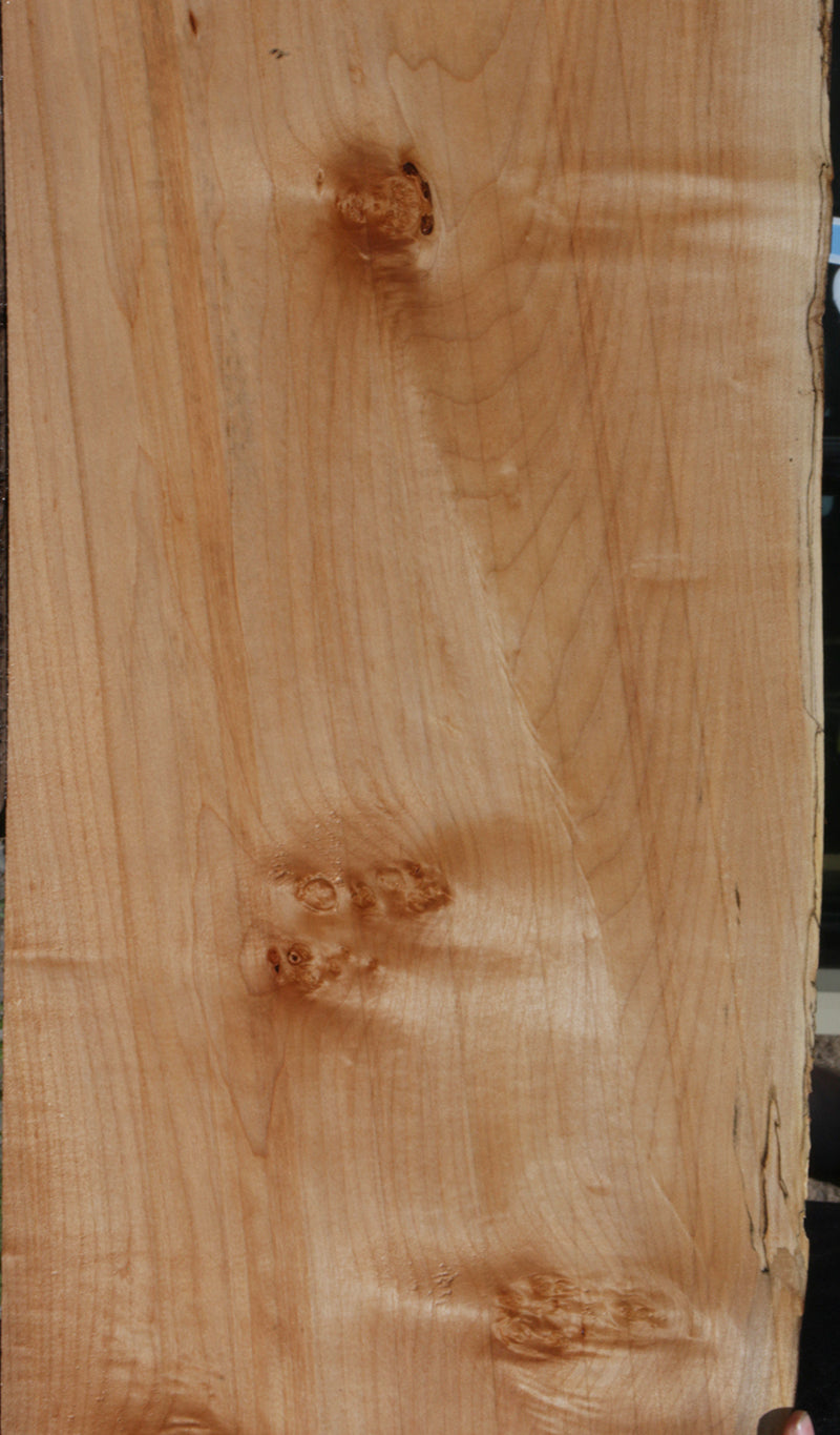 Maple Burl Live Edge Lumber