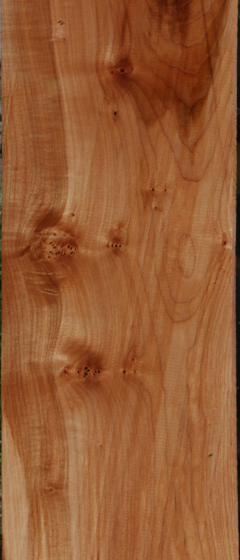 Extra Fancy Maple Burl Lumber