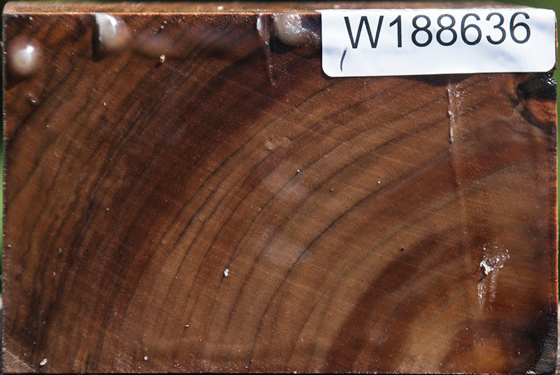 English Walnut Bowl Blank