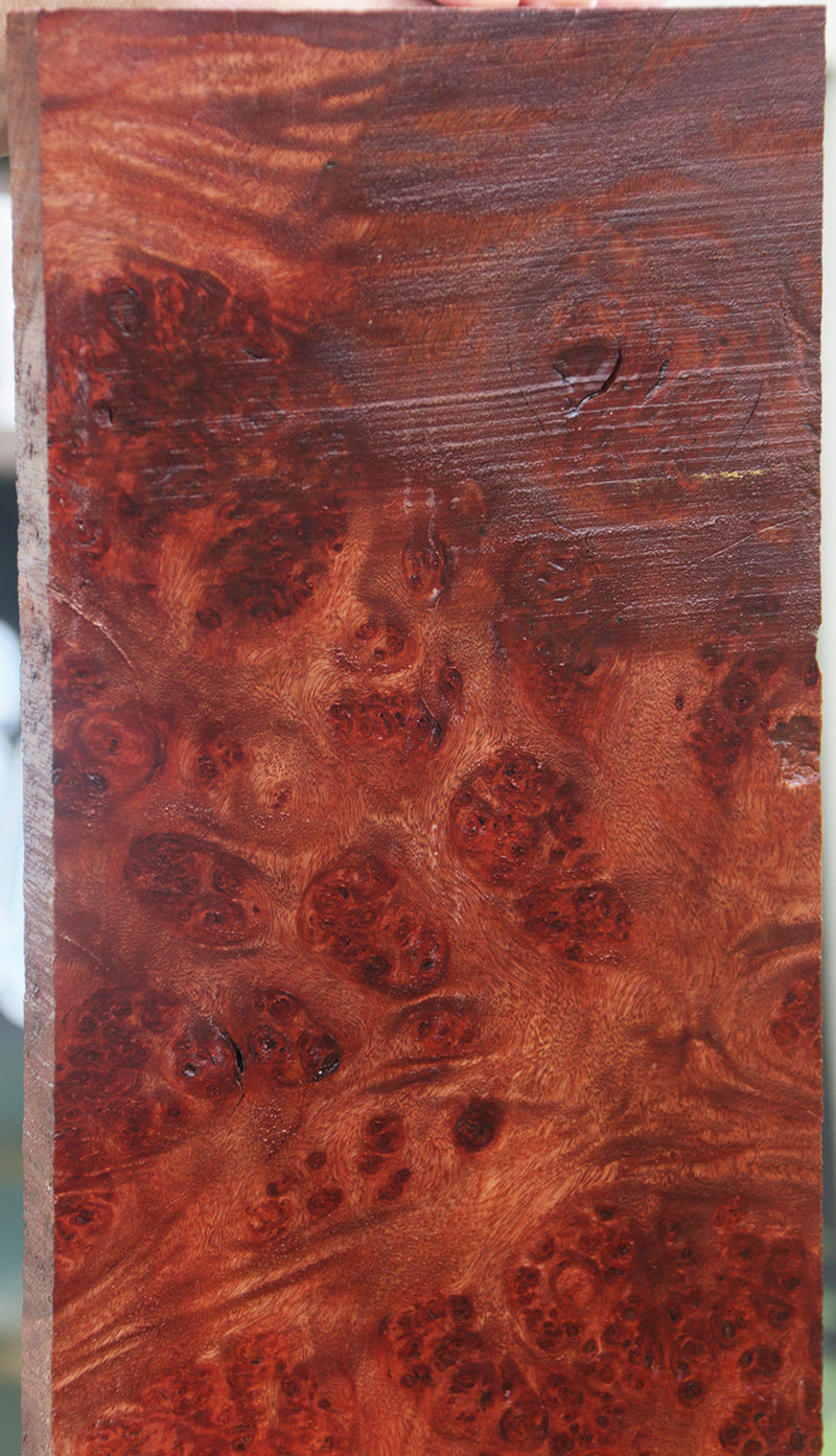 Extra Fancy Pan Burl Instrument Billet Micro Lumber