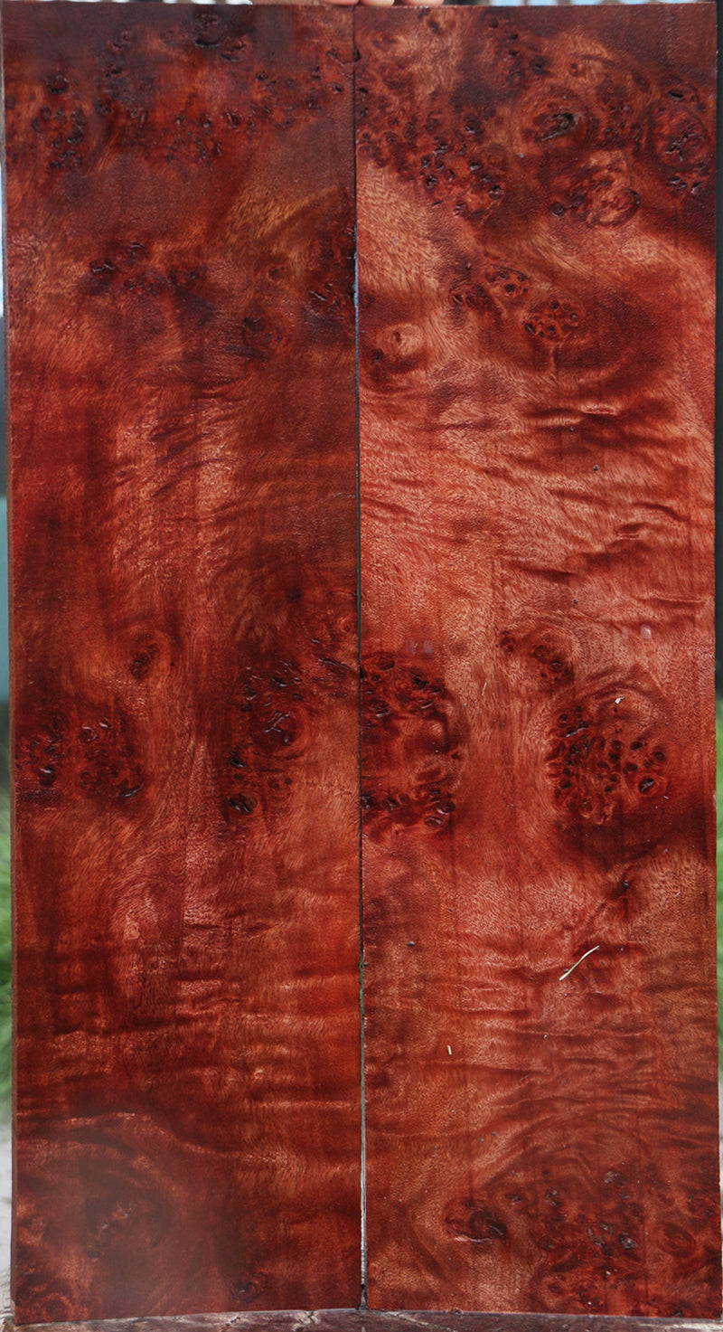 Pan Burl Instrument Micro Lumber Bookmatched Set