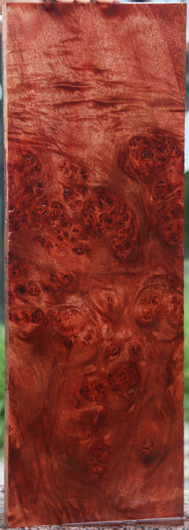 Pan Burl Instrument Lumber