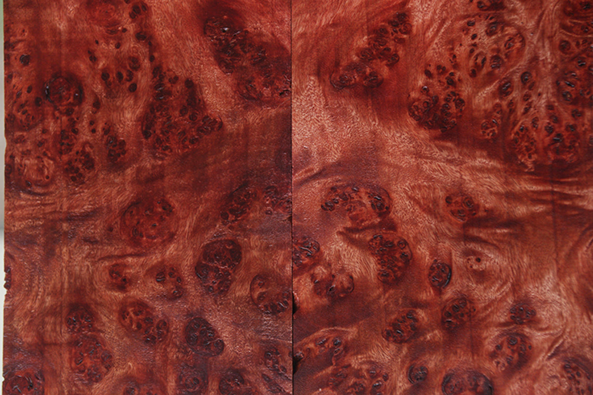 Pan Burl Instrument Micro Lumber Bookmatched Set