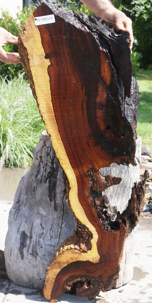 Rustic Desert Ironwood Live Edge Lumber (Free Shipping Excluded)