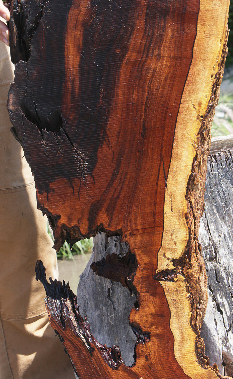 Rustic Desert Ironwood Live Edge Lumber (Free Shipping Excluded)