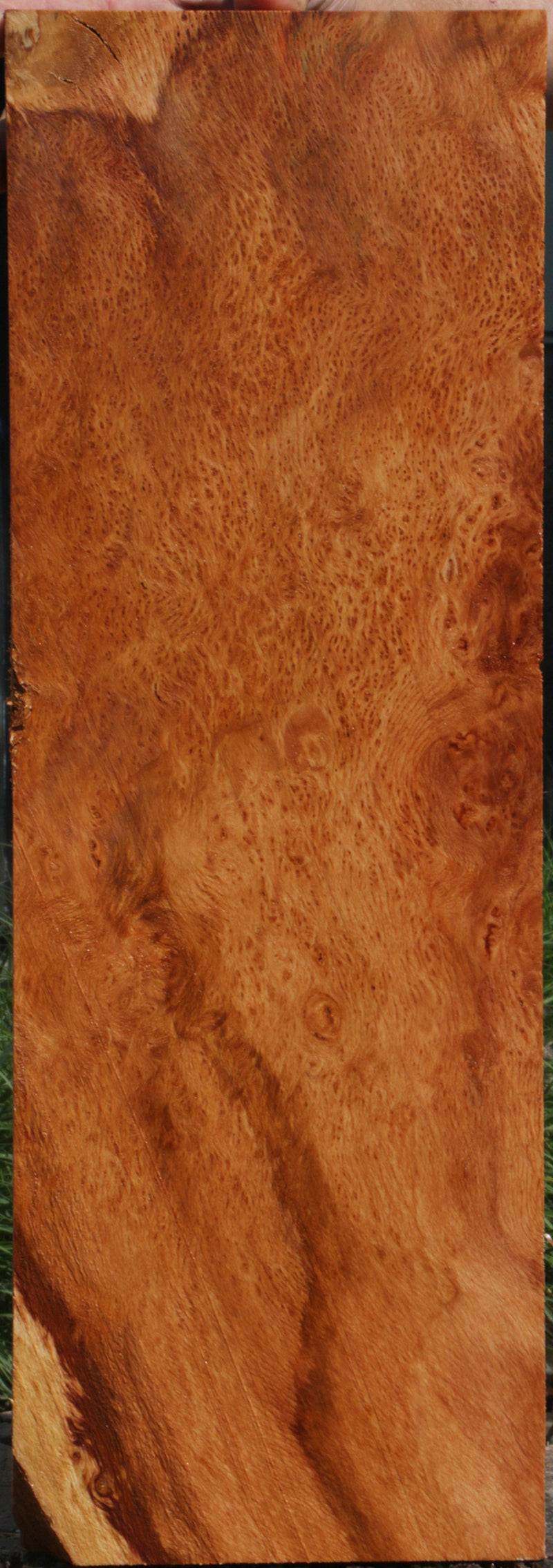 Redwood Burl Instrument Lumber