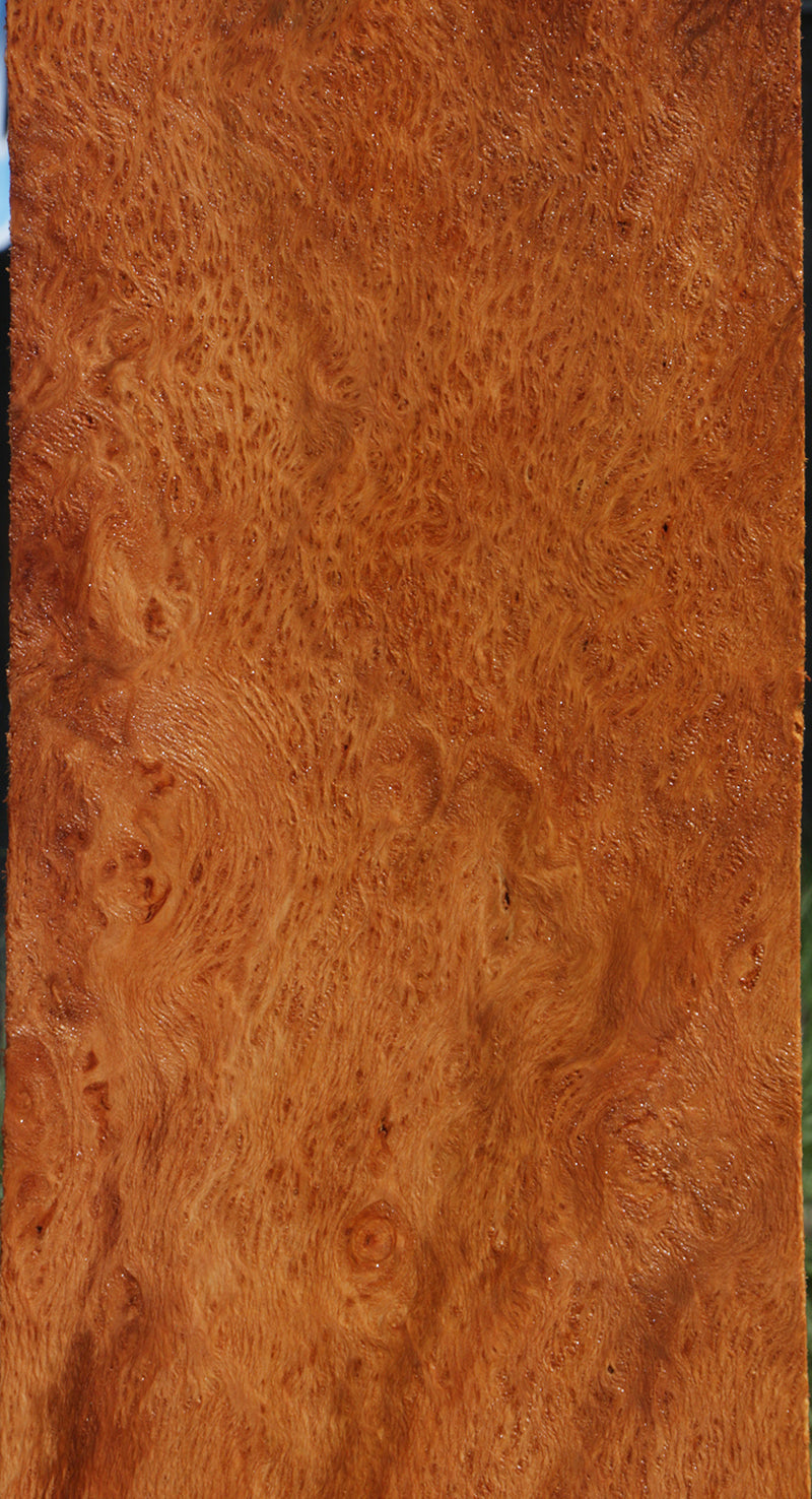 Redwood Burl Instrument Lumber