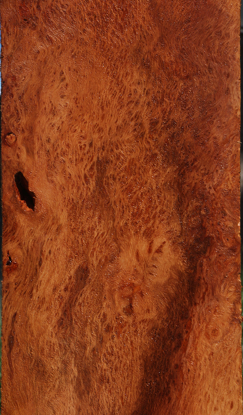 Redwood Burl Instrument Billet