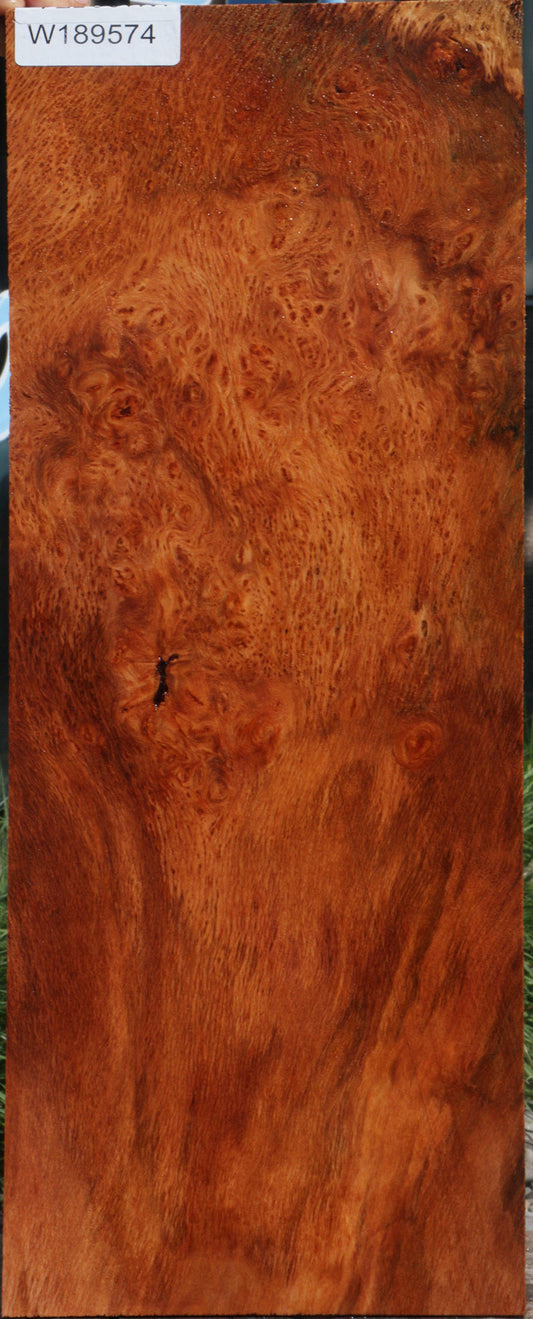 Redwood Burl Instrument Lumber