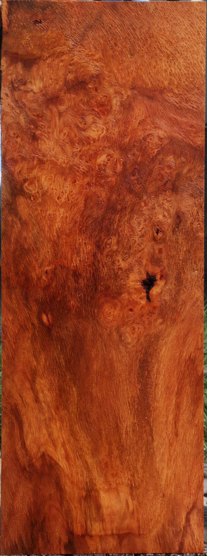 Redwood Burl Instrument Lumber