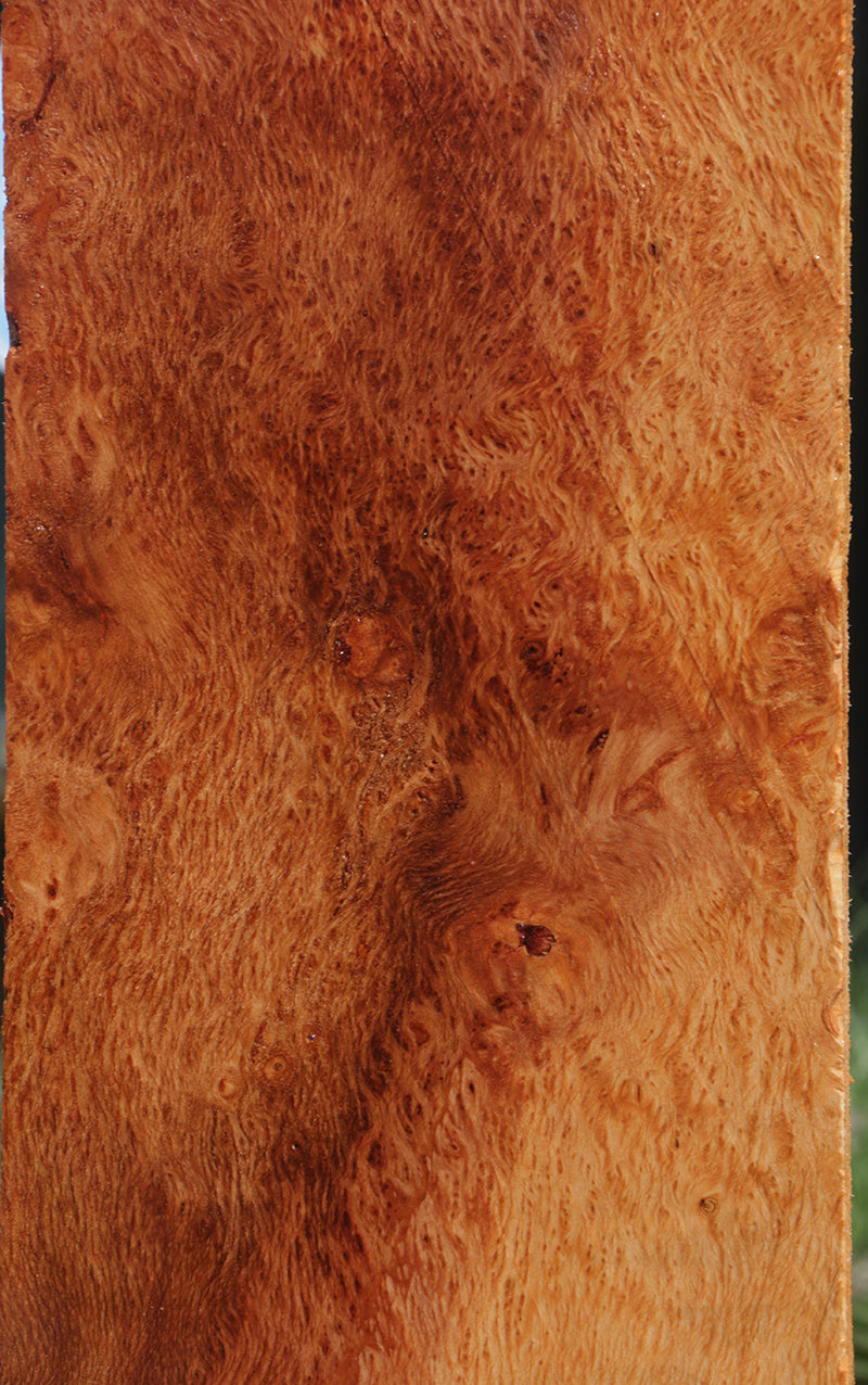 Redwood Burl Instrument Lumber