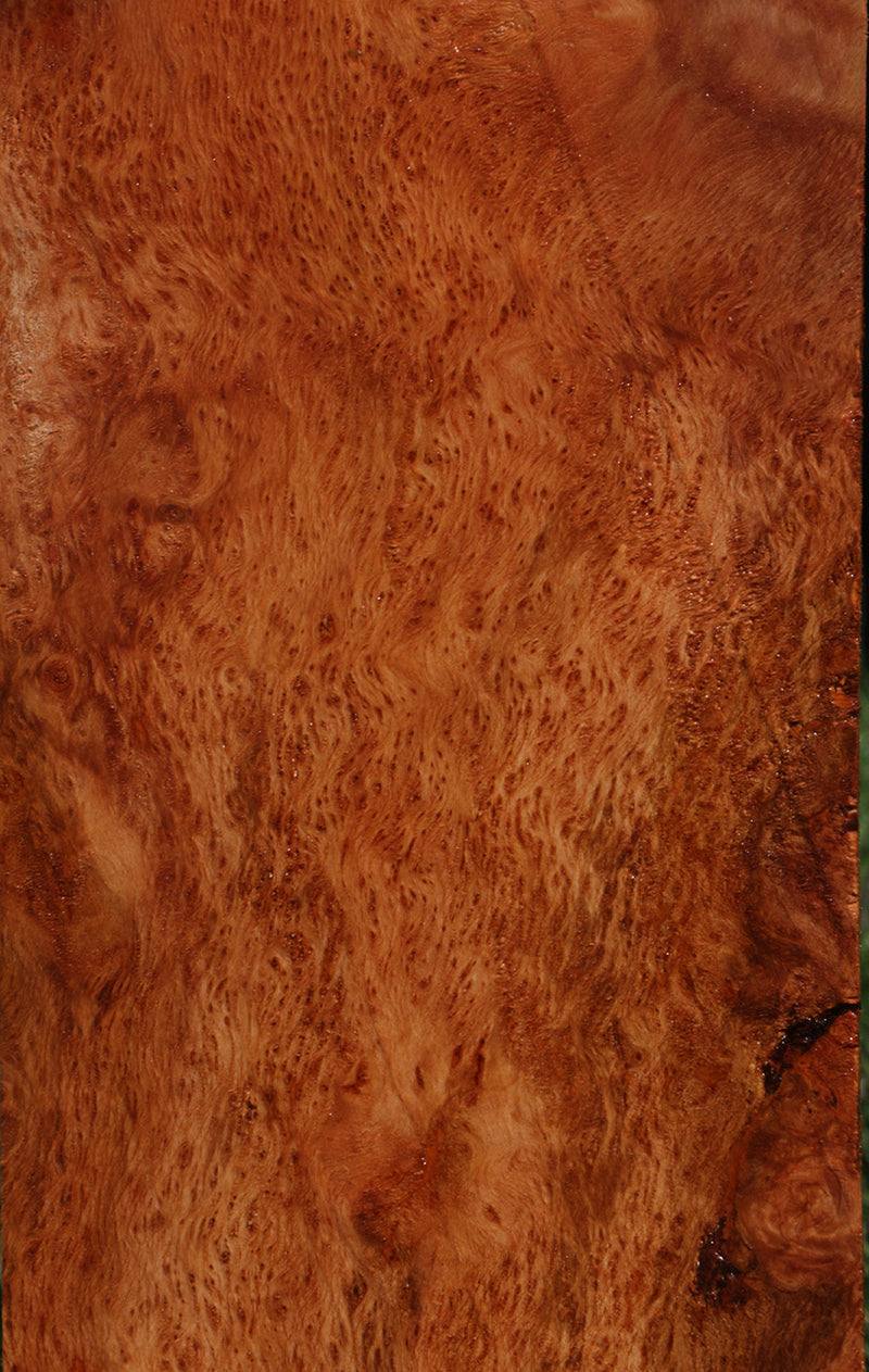 Redwood Burl Instrument Billet
