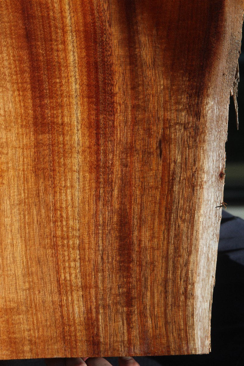 Curly Koa Live Edge Lumber (Guitar Billet)