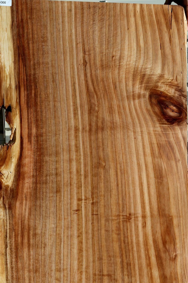 Redwood Slab