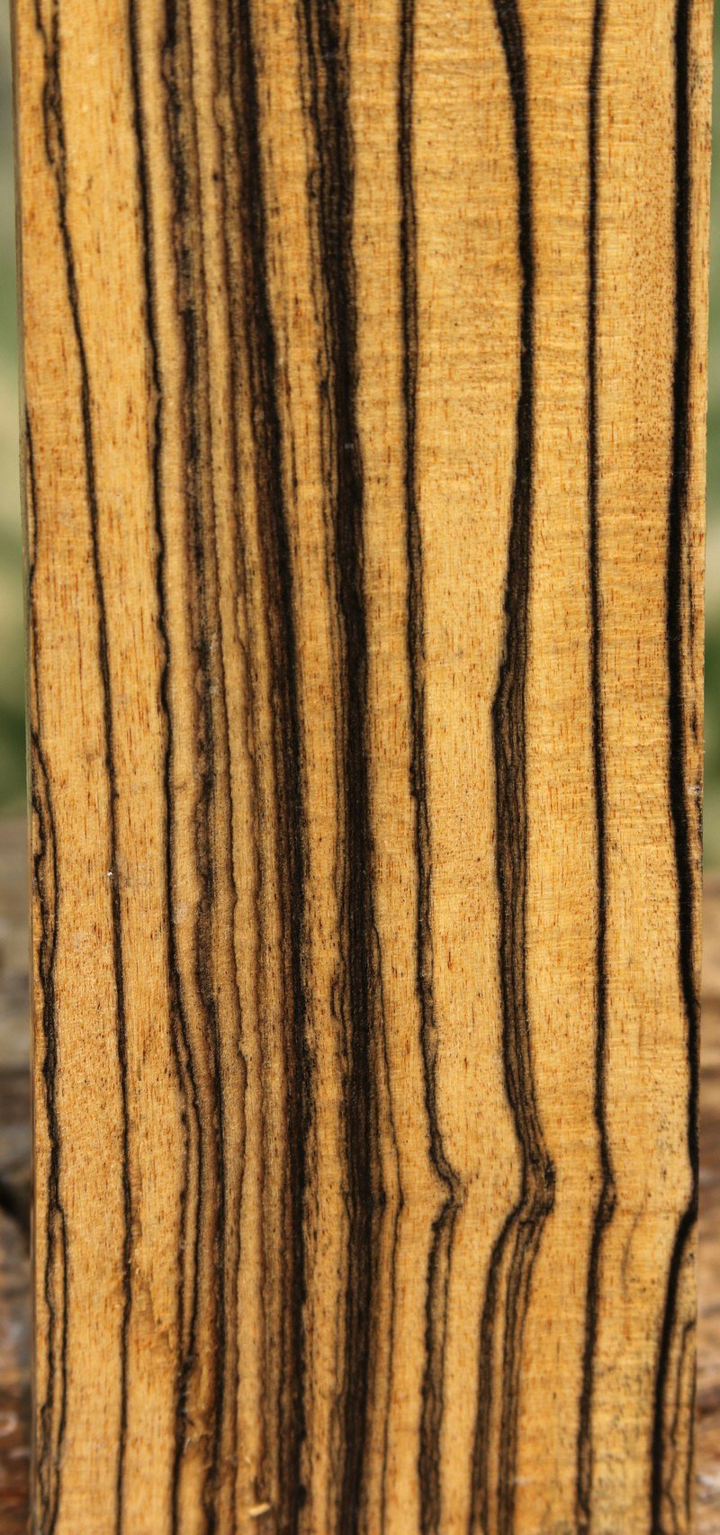 Black and White Ebony Fingerboard