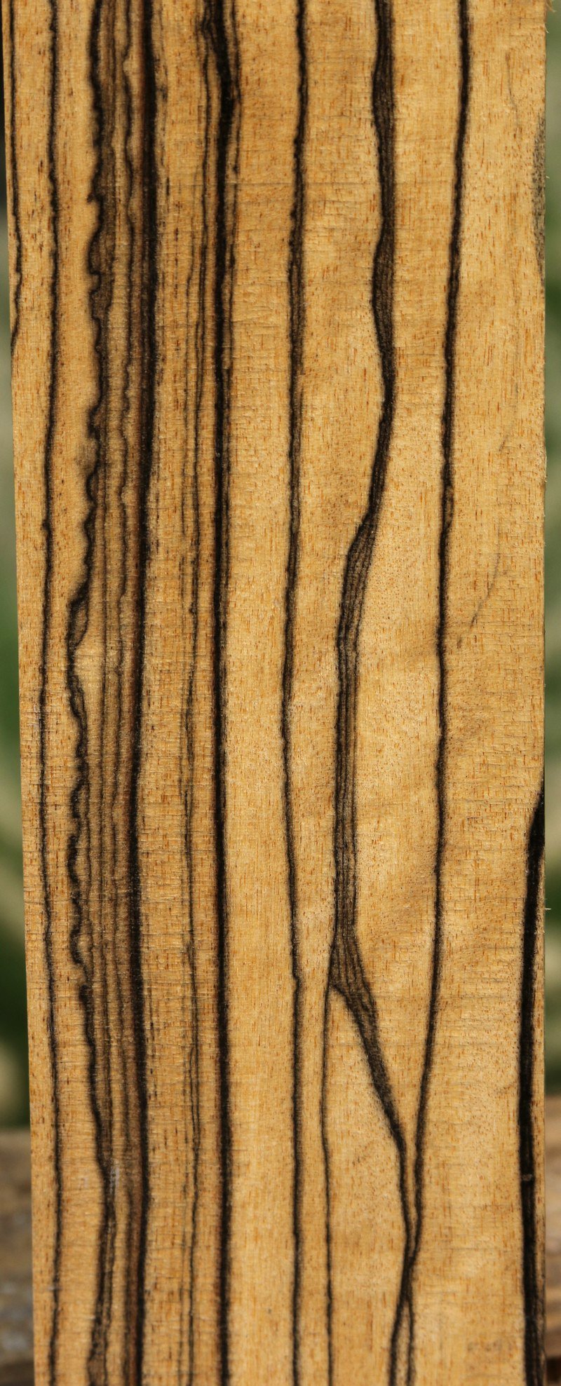 Black and White Ebony Fingerboard