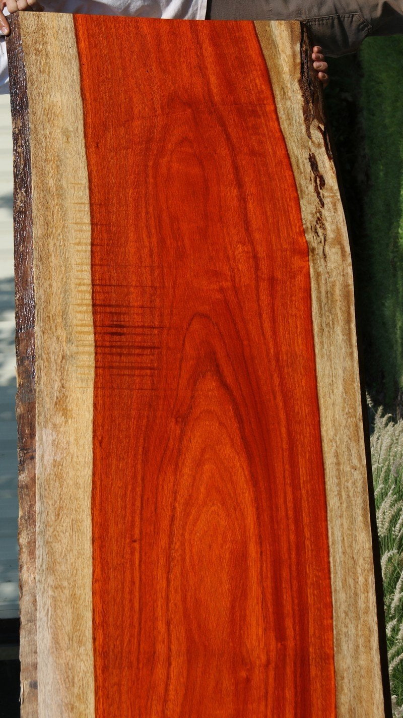 Figured Padauk Slab