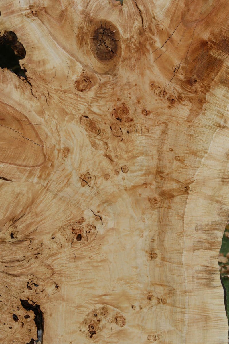 Rustic Flamed Silver Maple Slab