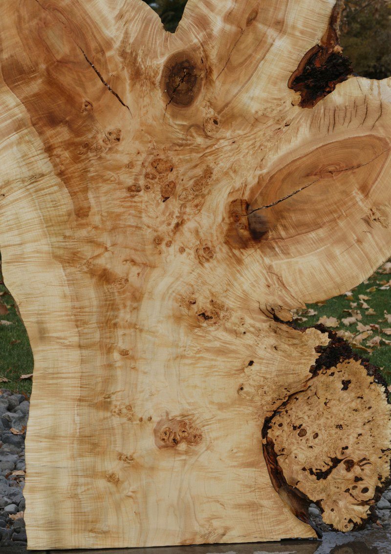 Rustic Flamed Silver Maple Slab