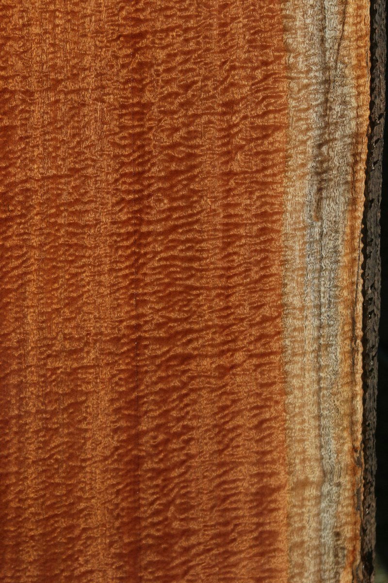 Exhibition Pomelle Sapele Live Edge Lumber