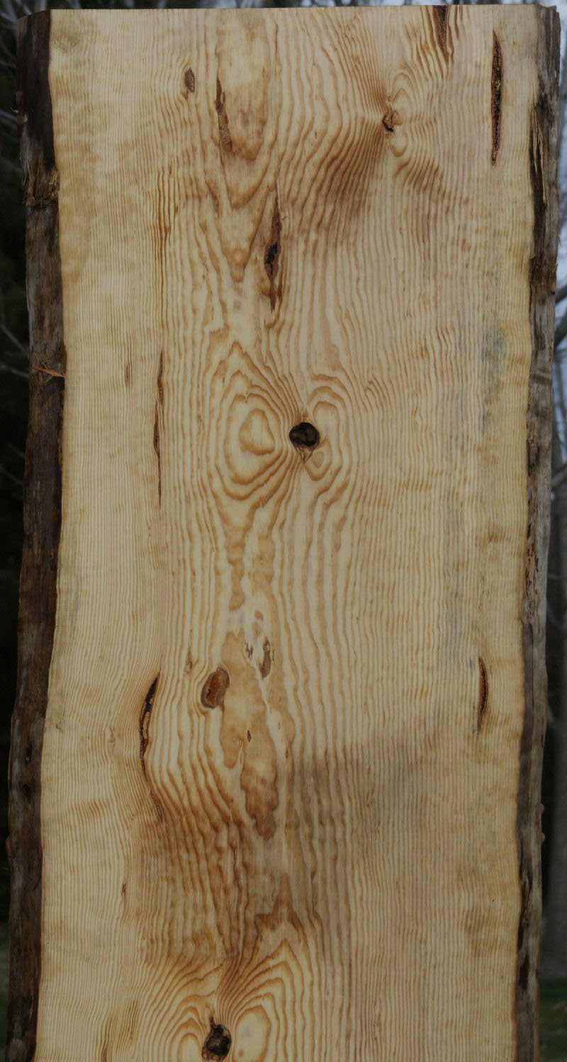 Rustic Quilted Ponderosa Pine Slab