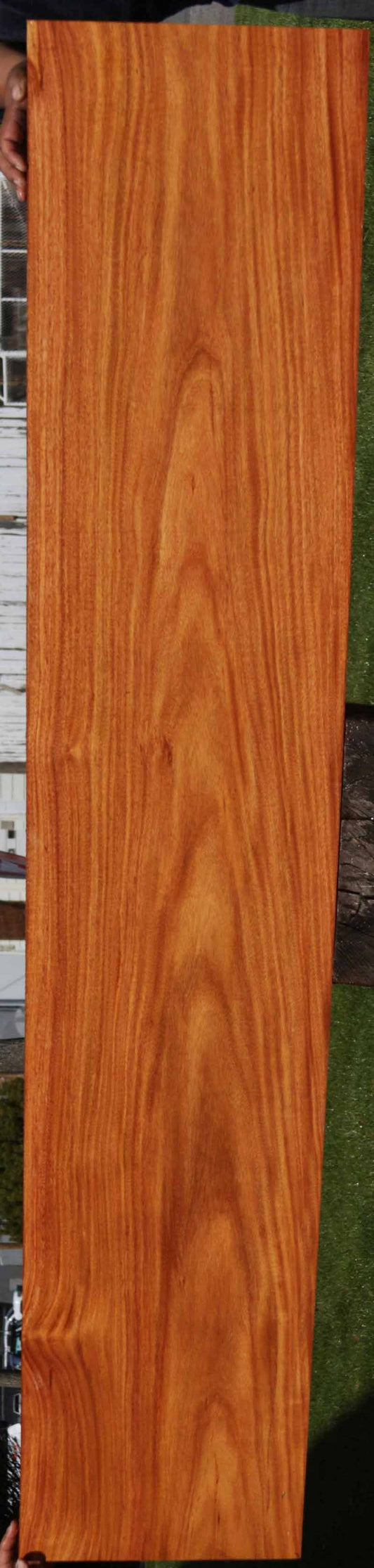 Santos Mahogany Long Lumber