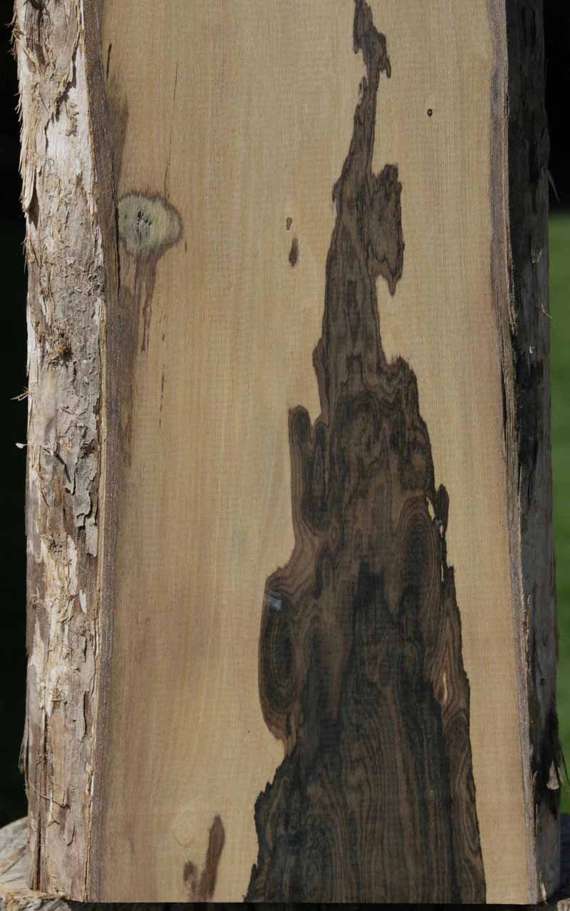 XF Figured Ziricote Live Edge Lumber (Guitar Billet)