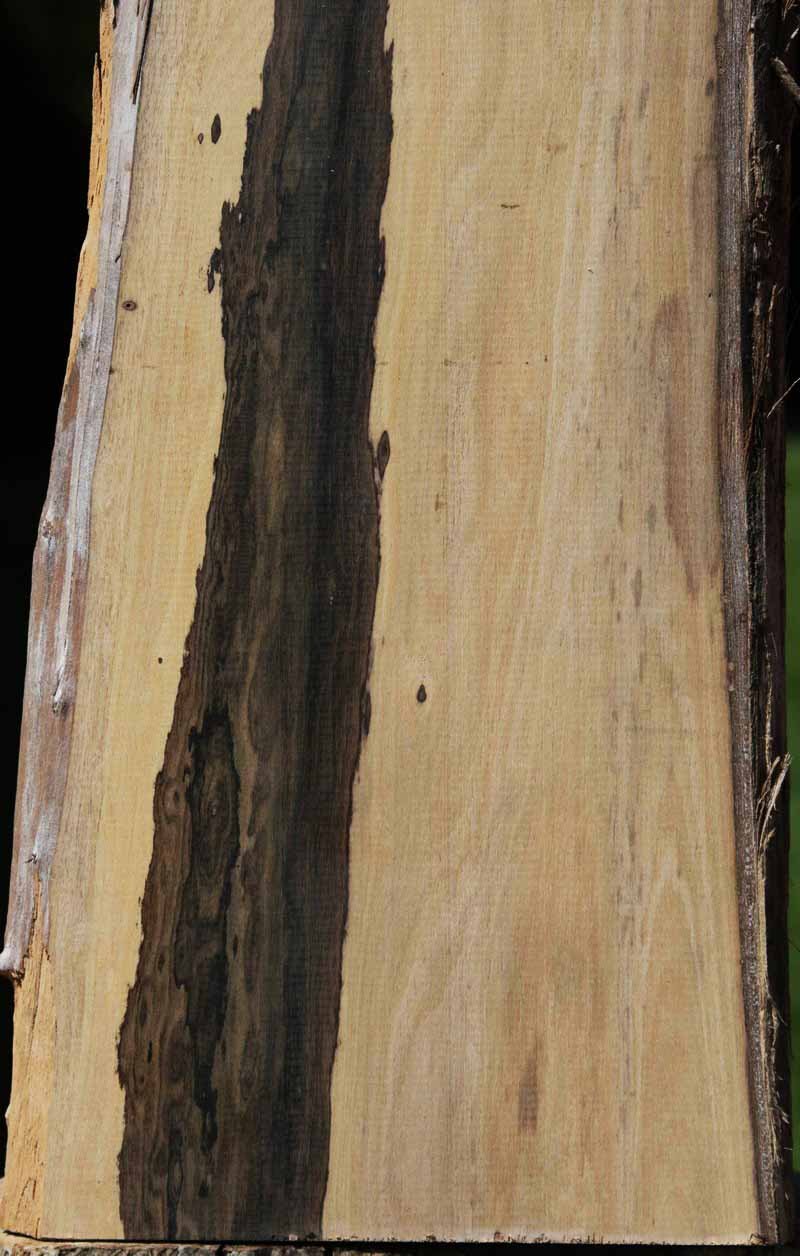 Ziricote Slab (Guitar Billet)